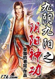 九阴九阳之阴阳神功封面
