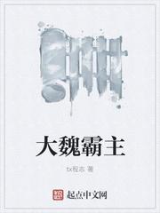 大魏霸主封面