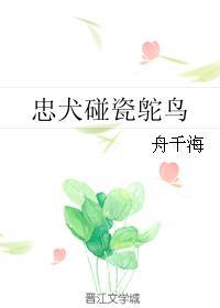 忠犬碰瓷鸵鸟封面
