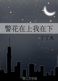 警花在上我在下封面