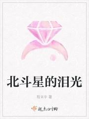 北斗星的泪光封面