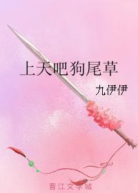 上天吧狗尾草封面
