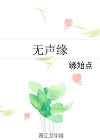 无声缘封面