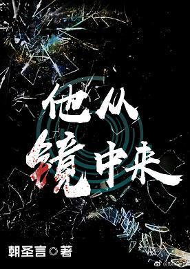 他从镜中来封面