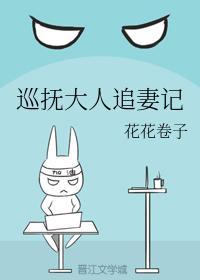 巡抚大人追妻记封面