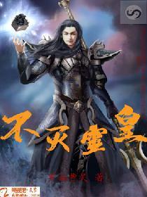 不灭灵皇封面