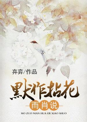 默作拈花而肖说封面