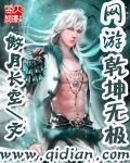 网游干坤无极封面