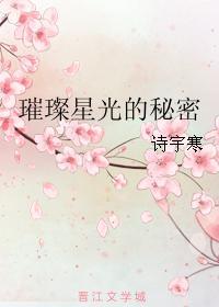 璀璨星光的秘密封面