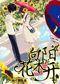 向阳花木开封面