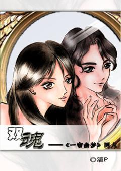 双魂封面