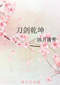 刀剑干坤封面