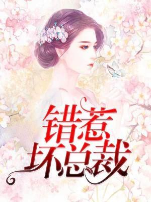 错惹坏总裁封面