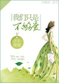 我们只是不够爱封面