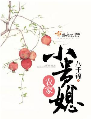 农家小贵媳封面