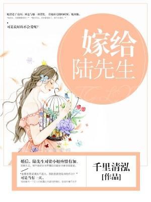 嫁给陆先生封面
