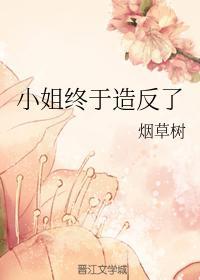 小姐终于造反了封面