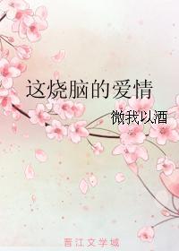 这烧脑的爱情封面