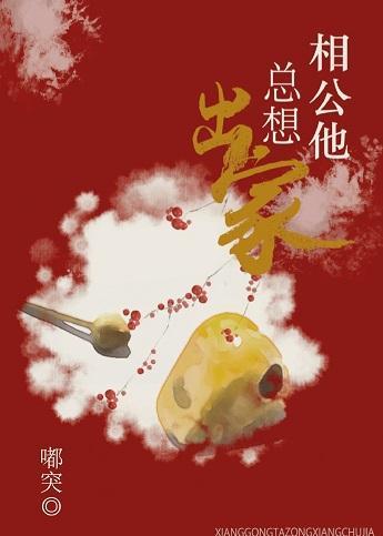 相公他总想出家封面