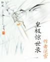 皇极惊世录封面