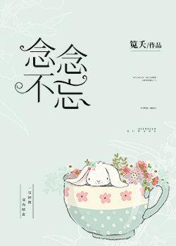念念不忘封面