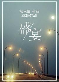 盛宴封面