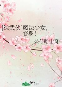 魔法少女，变身！封面