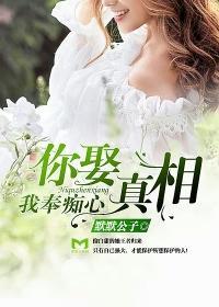 你娶真相，我奉痴心封面