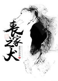 丧家之犬封面