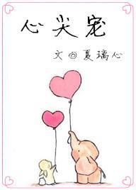 心尖宠封面