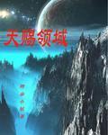 天赐领域封面