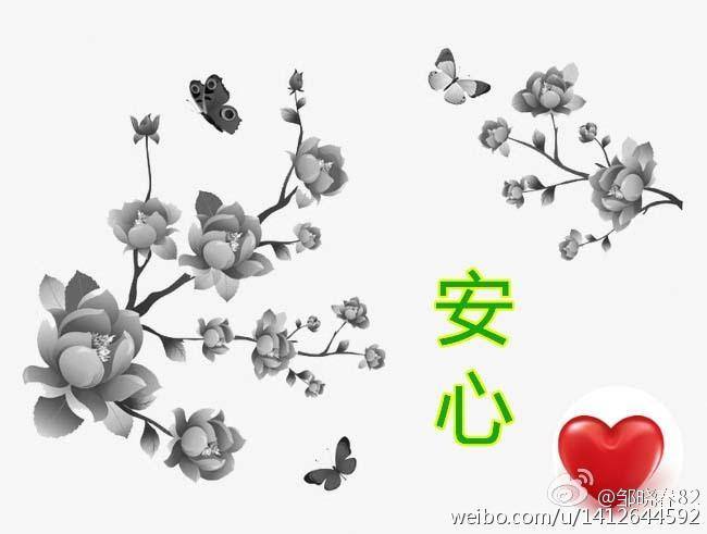 安心封面