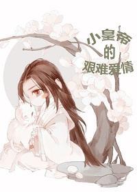 小皇帝的艰难爱情封面
