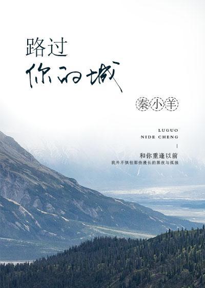 路过你的城封面
