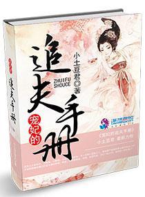 宠妃的追夫手册封面