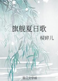 旗舰夏日歌封面