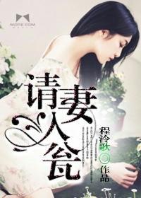 请妻入瓮封面