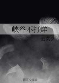 峡谷不打烊封面