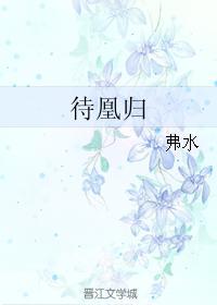 待凰归封面
