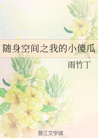 随身空间之我的小傻瓜封面