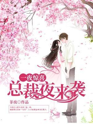 一夜惊喜：总裁夜来袭封面