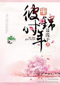 彼时锦年（民国）封面