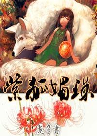 紫狐媚珠封面