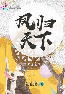 凤归天下封面