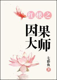 红楼之因果大师封面