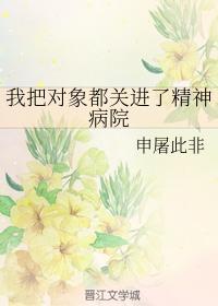 我把对象都关进了精神病院封面