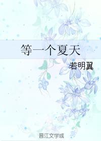 等一个夏天封面