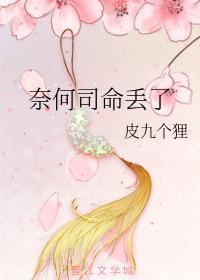 奈何司命丢了封面