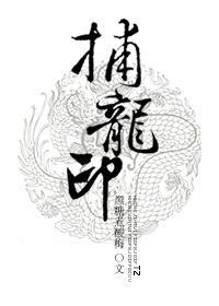 捕龙印封面