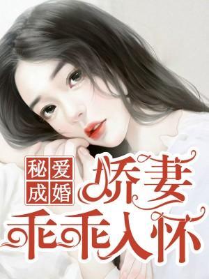 秘爱成婚：娇妻乖乖入怀封面